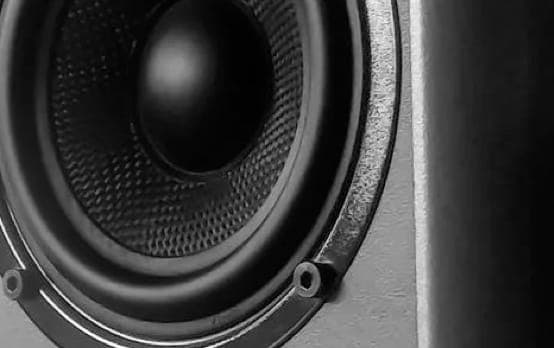 Closeup shot of a ZX9 speaker.