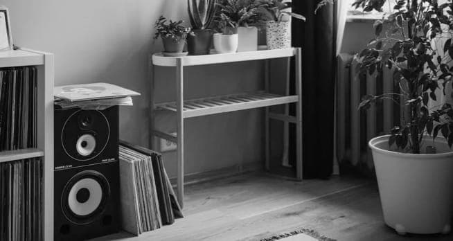 ZX9 speaker in a living room.