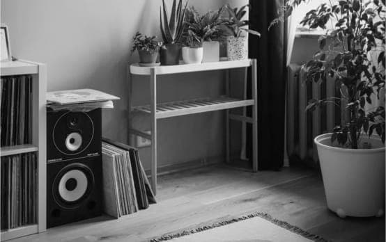 ZX9 speaker in a living room.