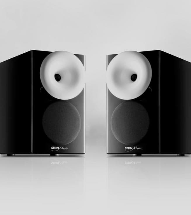 A pair of ZX9 speakers