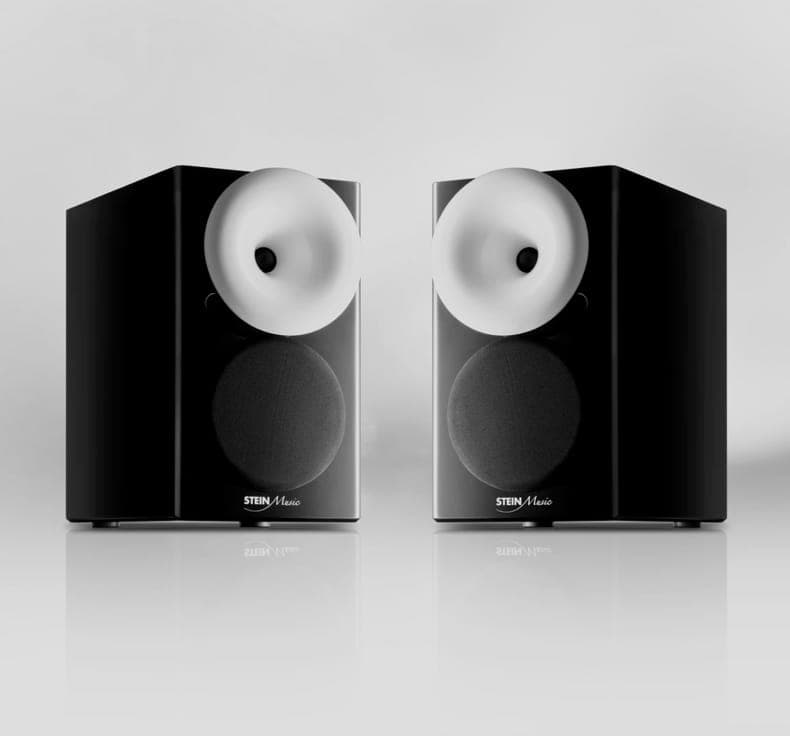 A pair of ZX9 speakers