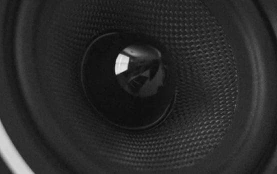 Closeup shot of a ZX7 speaker.